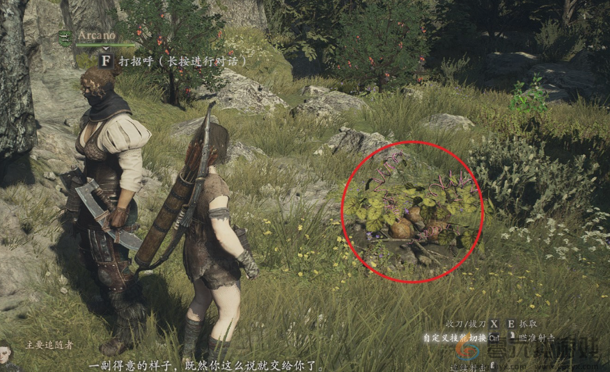 龙之信条2dragonsdogma2支线补给队员的烦恼任务攻略(图6)